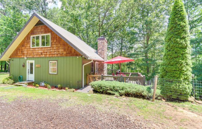 Pet-Friendly Murphy Home Grilling Deck and Fire Pit