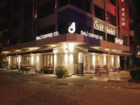Rest Inn Aydın Hotel Hotels in Aydin