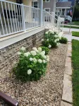 Hide Away Shanty -HAS.  Charming and beautifully renovated 3-bedroom house.