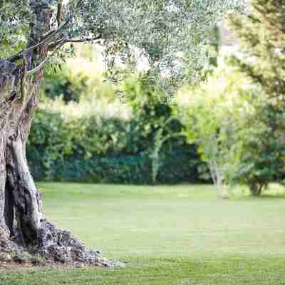 科隆城市諾富特飯店 Hotel Exterior