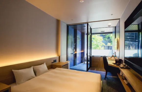 東道後的天空森林