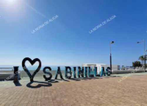 Alice's Ferris wheel. Your home on the Costa del Sol. First line with sea view