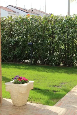 Daphne Experience 住宿飯店