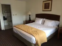 Branford Motel Hotels in Branford