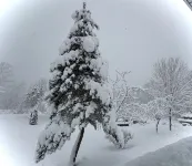 Cozy Cabin on Georgian Bay Tay Trail, Come Ski, Snowboard or Snowmobile Hotels in Tay