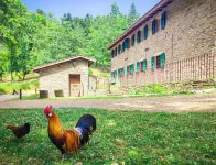 3 Bedroom Cabin in Subbiano Hotels in Subbiano