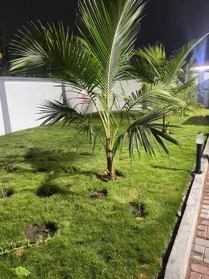 Newly Built Fully Furnished Two Bedroom Apartment and 4 - One Bedroom Apartments Hotels in Sakumono