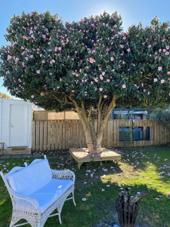 Sun-kissed Spa Retreat Отели в г. Хейстингс