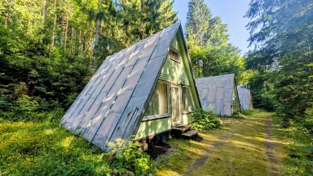 Cozy hut in the middle of the forest. Pet friendly!