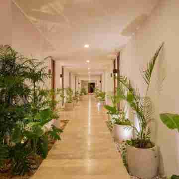 Endless CHI Oasis Others