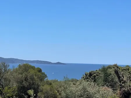 Charming house surrounded by olive trees