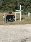Spacious up North Getaway Near Trails. Sleeps 12