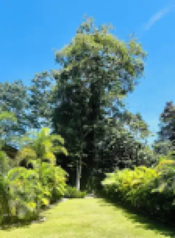 Villa Tres Lunas-Private Jungle Retreat with Pool Hotels in 