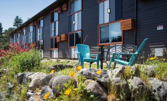 The Spot at Porpoise Bay