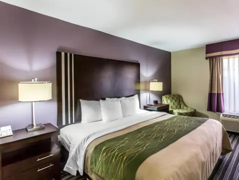 Comfort Inn Paducah I-24