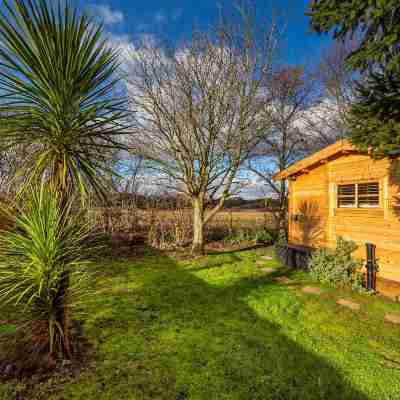 Pet-friendly chalet in Surlingham, No deposit Hotel Exterior