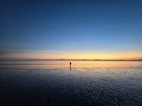 Kenai Beachfront Cabin 4 - 10min to Kenai and Kasilof rivers