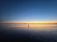 Kenai Beachfront Cabin 5 - Rustic Alaskan Cabin Hotels in Kalifornsky