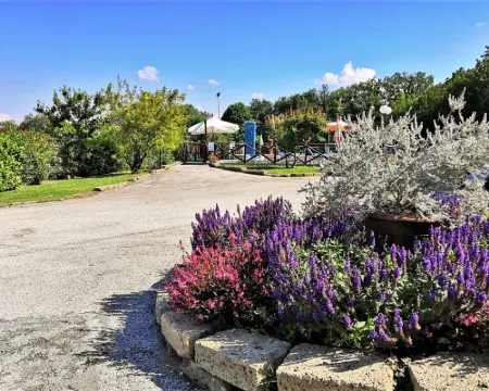 Villa in Marche with Private Pool 塔武利亞酒店