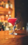 Hotel Ranga - bar
