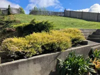 Comfortable 3 Bedroom Home with all the facilities to accommodate 6 people.