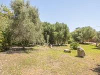 Finca Sa Plana - Villa With Private Pool