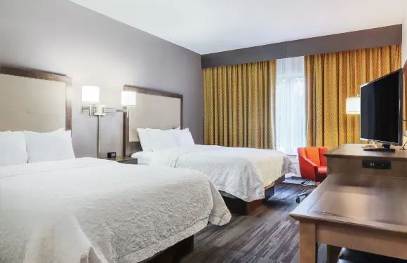 希爾頓歡朋酒店-希思紐瓦克