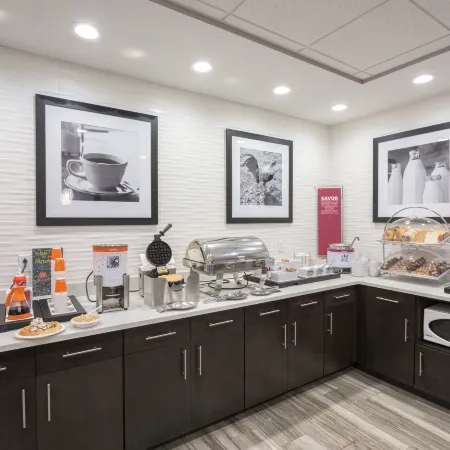 Hampton Inn Buffalo/Hamburg