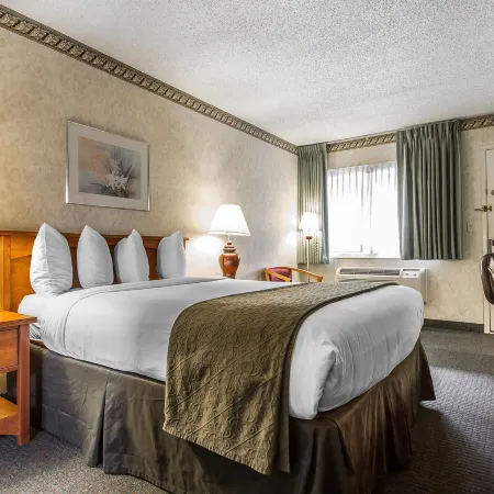 Quality Inn & Suites Silicon Valley