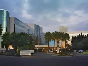 Southern Sun or Tambo International Airport