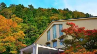 Hotel Daisen Shirogane Hotels in Saihaku District