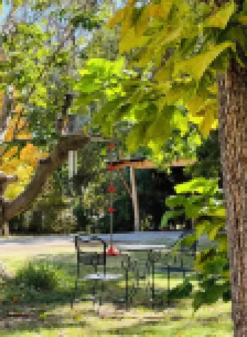 Cottage Casita on an Orchard. No parties nor gatherings.