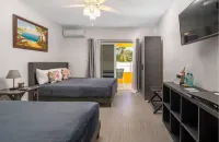 ヒルトンズ ヘイブン のホテル