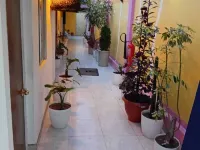 Concubinas del Inca Hotels in Cajamarca
