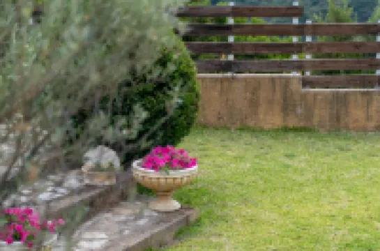 The House Olympia - Happy Rentals Hotels in 