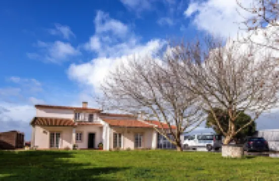 FreeSurfCamp & Hostel Hotels in 