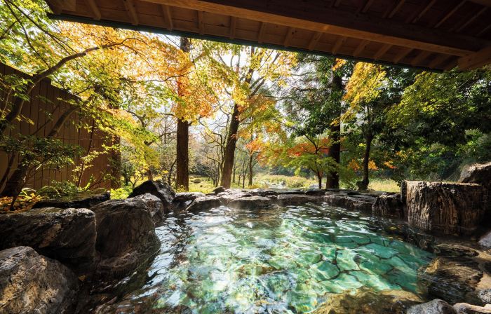 Furuyu Onsen Saga Fuga