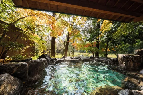 Furuyu Onsen Saga Fuga - Boutique