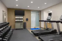 Hilton Garden Inn Washington DC/Greenbelt - Gym