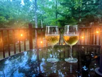 Fall Availability! - Modern Northwoods Retreat- Family Friendly - 3-Star