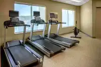 Hilton Garden Inn Roanoke Rapids - Gym