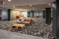 Hotel Trilogy Albany Airport, Tapestry Collection by Hilton - Wifi