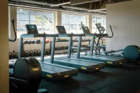 Acta Moa - Phòng Gym