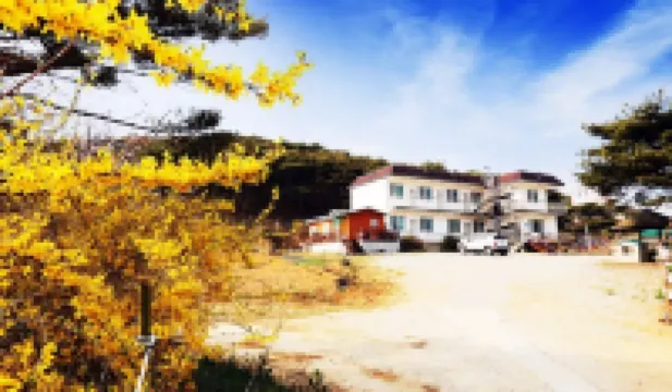 Taean Yangji Pension فنادق في 