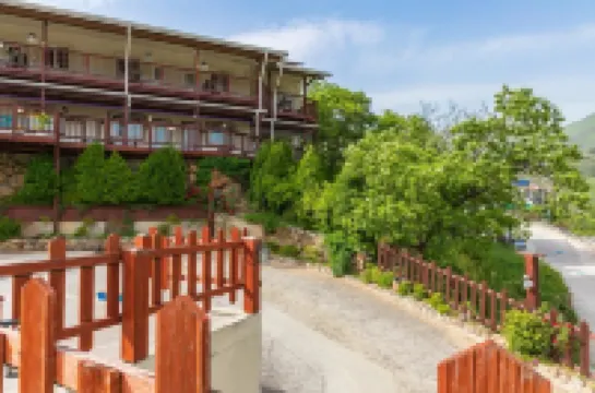 Gurye Dandelion Travel Pension