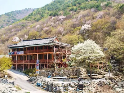 Ulsan (Baenaegol) Alps 119 Pension パラエソ瀑布周辺のホテル
