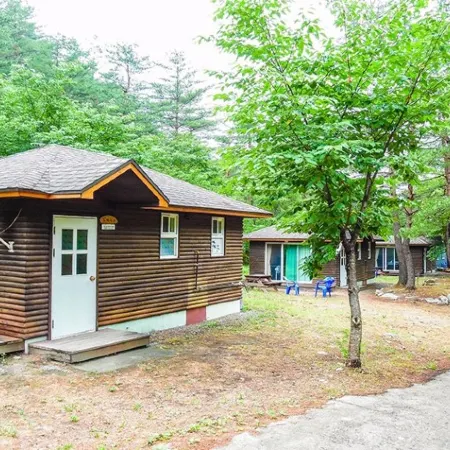 Forest House