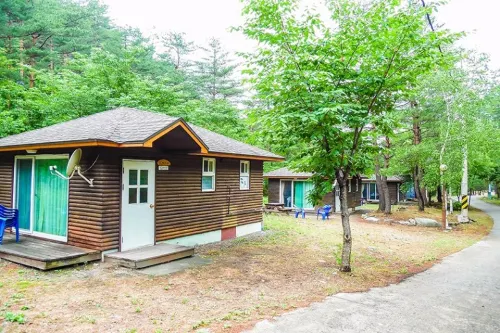 Forest House - Pet friendly