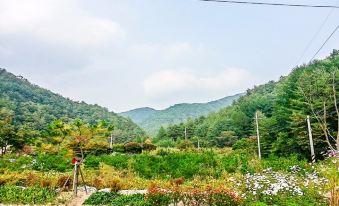 1. Wonju Ga..