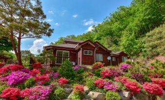 Hoengseong Dongdangmi Valley Campground and Dongdangmi Pension